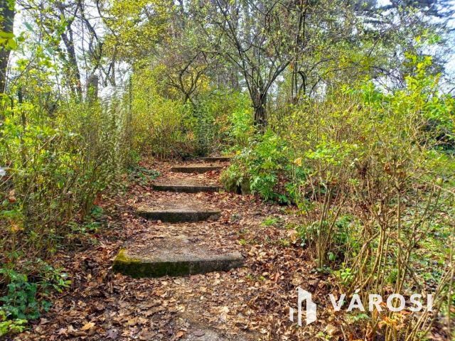 Zöldövezeti építési telek Pismány szívében, Szentendrén